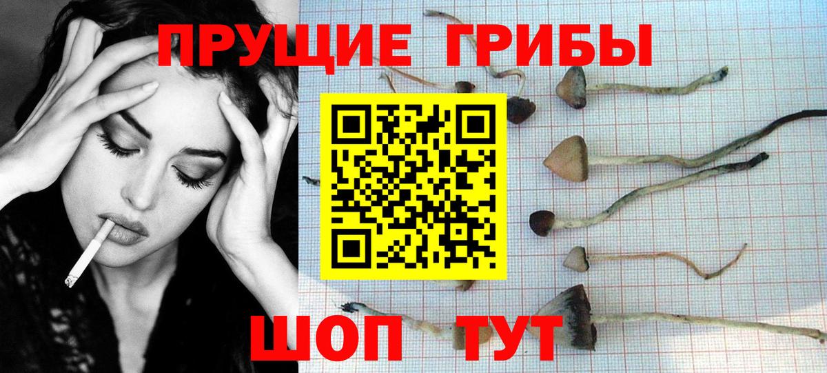 Галлюциногенные грибы MAGIC MUSHROOMS Волгоград
