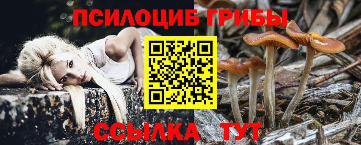 наркошоп  Псилоцибиновые грибы Cubensis  Вход с VPN  Волгоград 